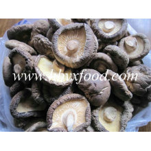 China Cogumelo Shiitake Liso Seco em Tamanho Cap diferente 3-8cm Vegetais